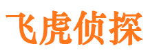 东洲市场调查